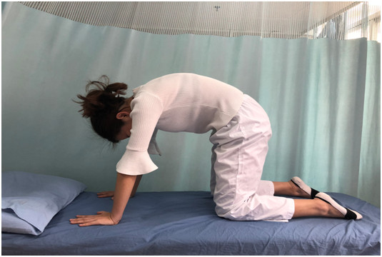 貓式運(yùn)動(dòng)1.png